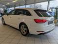 Audi A4 2.0 TDI design ultra Sport-Fahrwerk Alcantara Weiß - thumbnail 7