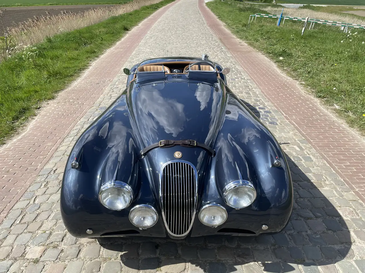 Jaguar XK XK 1953