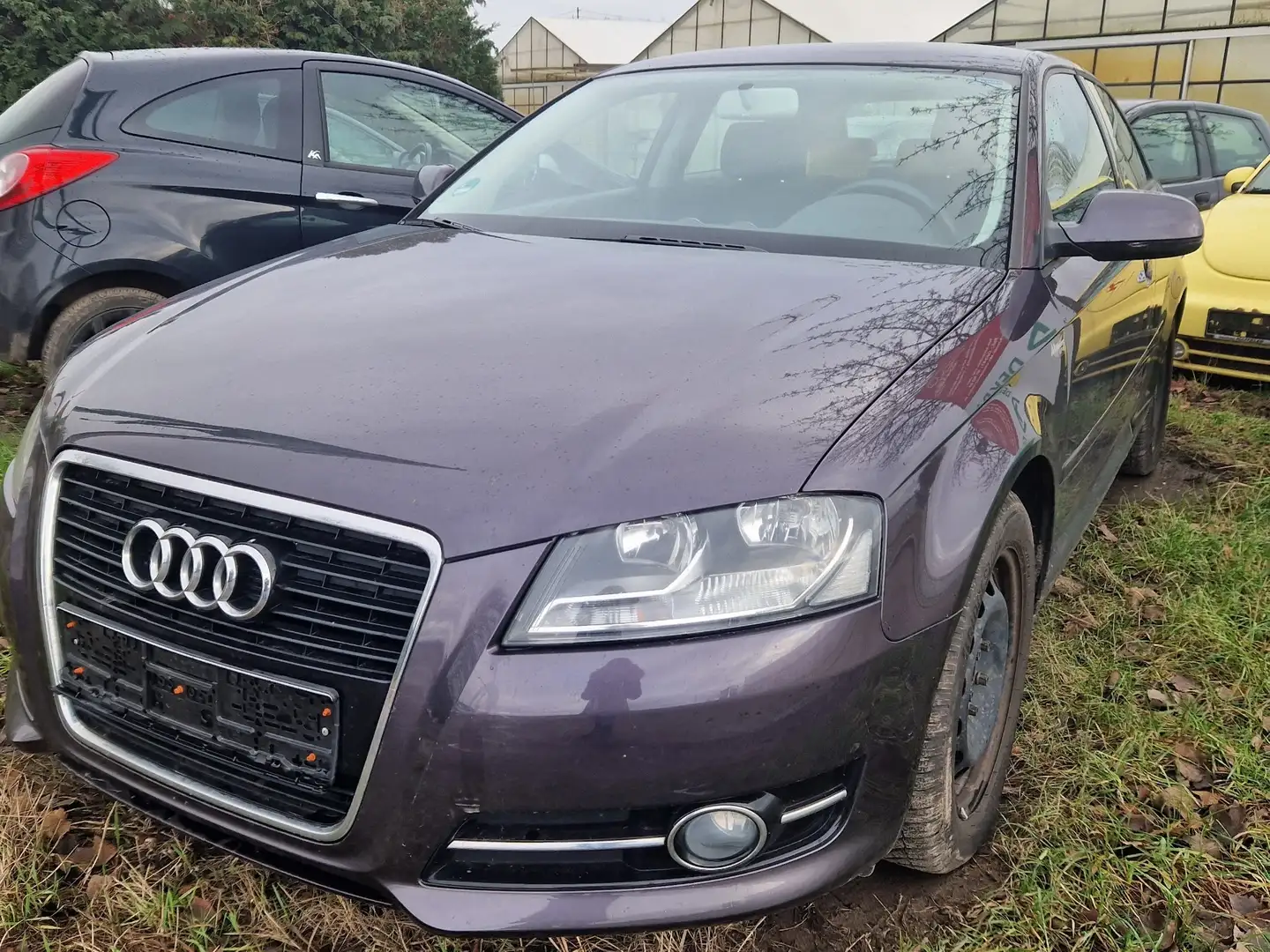 Audi A3 1.2 TFSI Attraction Violet - 1