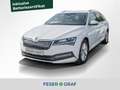 Skoda Superb Combi Style iV 1.4TSI 360°/LED/TOT/NAV - thumbnail 1