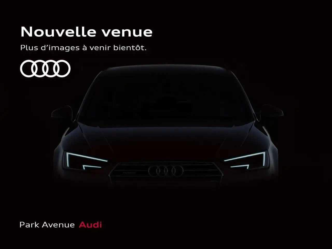 2022 Audi Q7