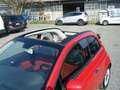Fiat 500C 500C 1.3 mjt 16v Lounge 95cv Rosso - thumbnail 6