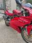 Ducati 900 SS I.E. Rosso - thumbnail 6
