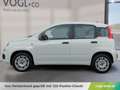 Fiat Panda 1,2 69 Easy Weiß - thumbnail 2
