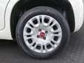 Fiat Panda 1,2 69 Easy Weiß - thumbnail 13