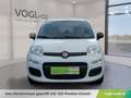 Fiat Panda 1,2 69 Easy Weiß - thumbnail 6