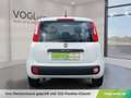 Fiat Panda 1,2 69 Easy Weiß - thumbnail 7