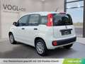 Fiat Panda 1,2 69 Easy Weiß - thumbnail 3