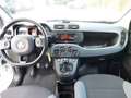Fiat Panda 1,2 69 Easy Weiß - thumbnail 4