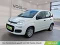 Fiat Panda 1,2 69 Easy Weiß - thumbnail 1
