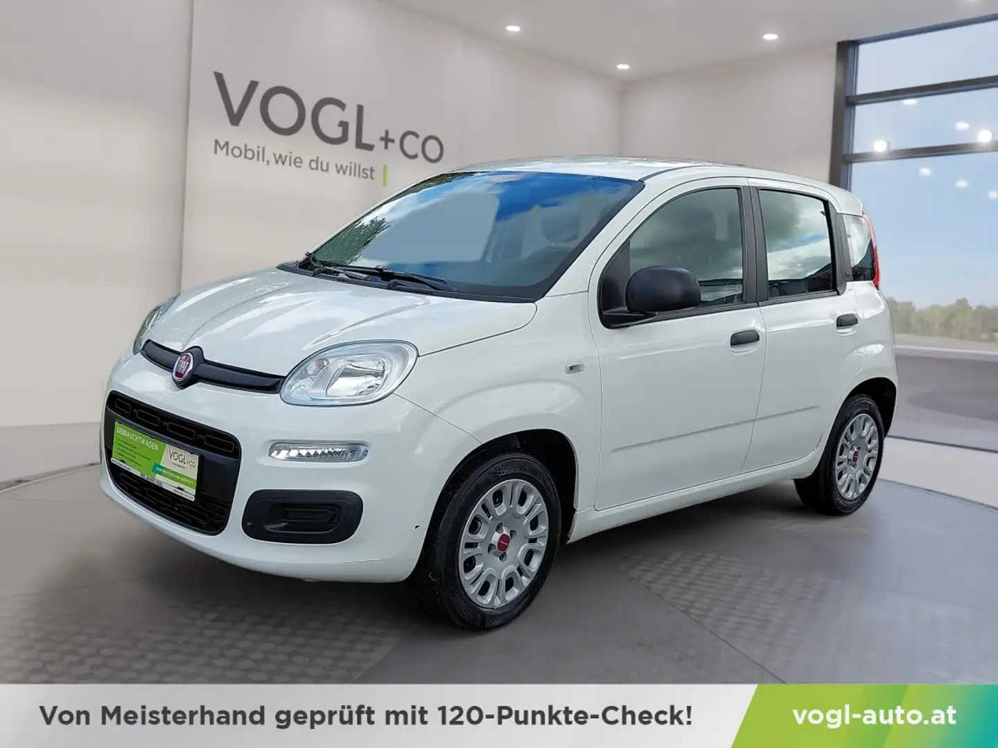 Fiat Panda 1,2 69 Easy Weiß - 1
