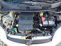 Fiat Panda 1,2 69 Easy Weiß - thumbnail 19
