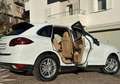 Porsche Cayenne Cayenne 3.0 V6 tdi 245cv UNICOPROPRIETARIO Bianco - thumbnail 8