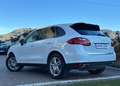 Porsche Cayenne Cayenne 3.0 V6 tdi 245cv UNICOPROPRIETARIO Bianco - thumbnail 4