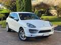 Porsche Cayenne Cayenne 3.0 V6 tdi 245cv UNICOPROPRIETARIO Bianco - thumbnail 6