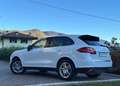 Porsche Cayenne Cayenne 3.0 V6 tdi 245cv UNICOPROPRIETARIO Bianco - thumbnail 5