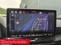 CUPRA Leon 2.0 TSI DSG VZ Sennheiser EDGE PURE Grau - thumbnail 21
