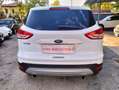 Ford Kuga Kuga II 2013 2.0 tdci Titanium 4wd 163cv Poweship Bianco - thumbnail 5