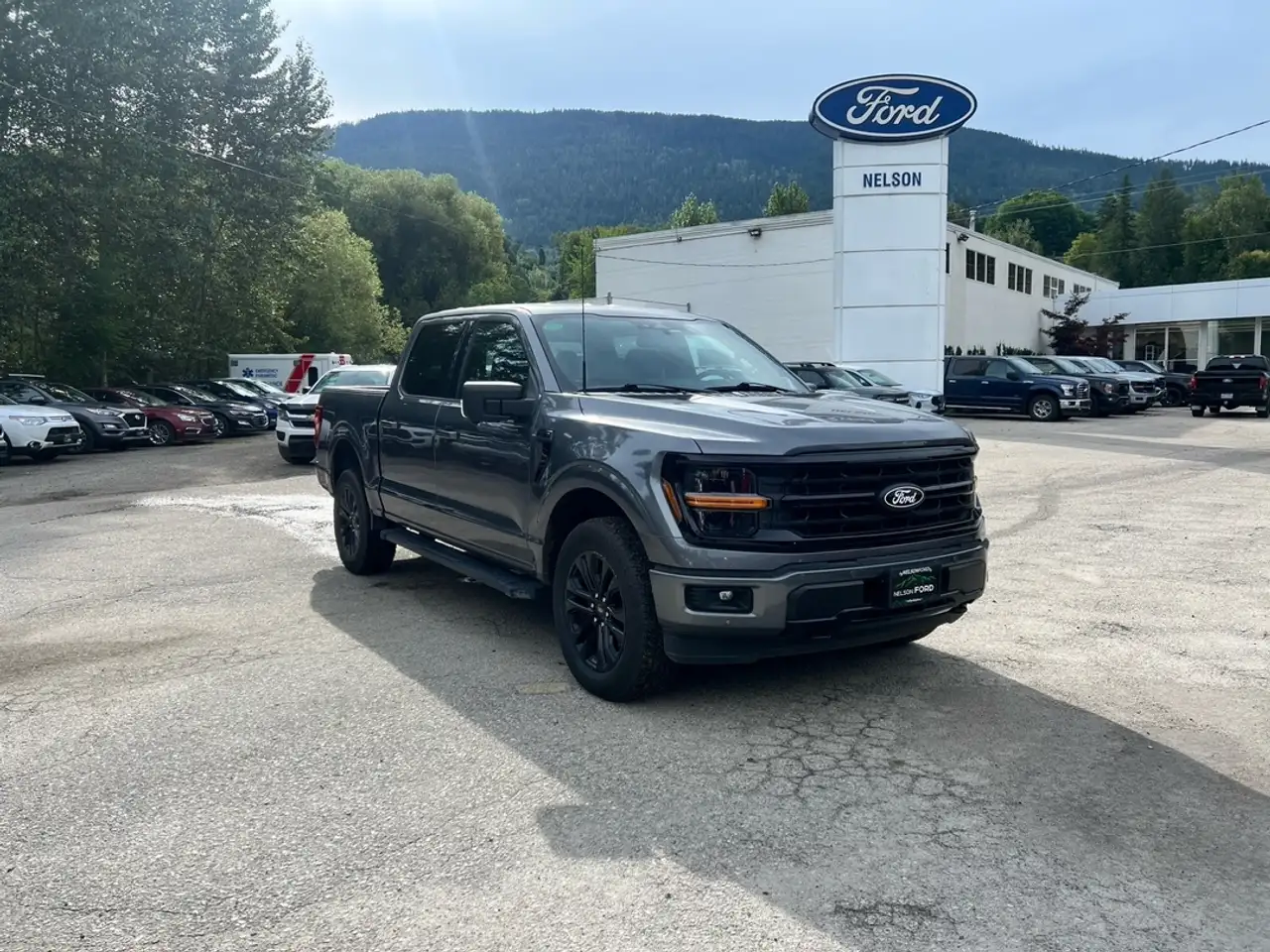 2024 Ford F 150