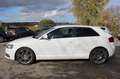 Audi A3 1.4 TFSI S line Sportpaket plus*Leder*Xenon* Wit - thumbnail 8