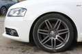 Audi A3 1.4 TFSI S line Sportpaket plus*Leder*Xenon* Wit - thumbnail 10