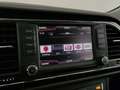 SEAT Leon ST 1.6 tdi cr Style s&s 110cv Bianco - thumbnail 11