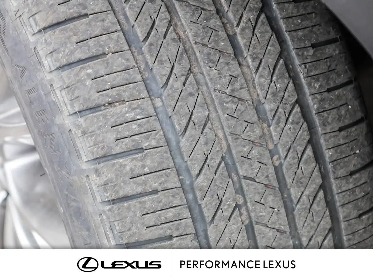 Lexus NX снимка Lexus NX