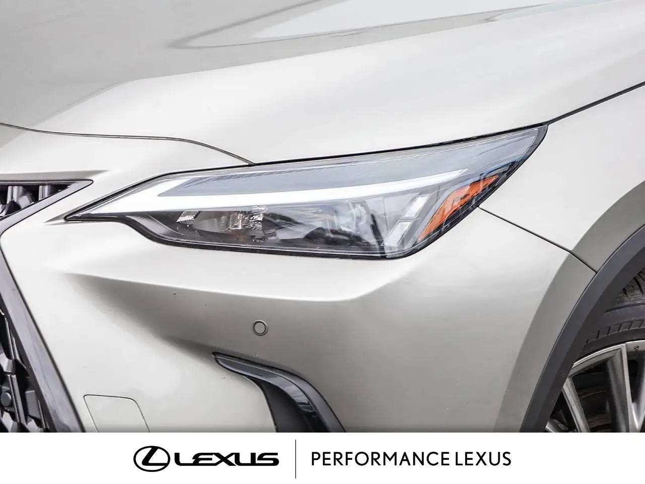 Lexus NX снимка Lexus NX
