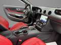 Ford Mustang GT Cabrio Deutsche Modell ACC Digi Tacho 19" Sound Black - thumbnail 11