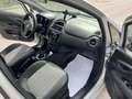 Fiat Punto Punto III 2012 5p 1.4 easypower Lounge Gpl E6 Argento - thumbnail 14