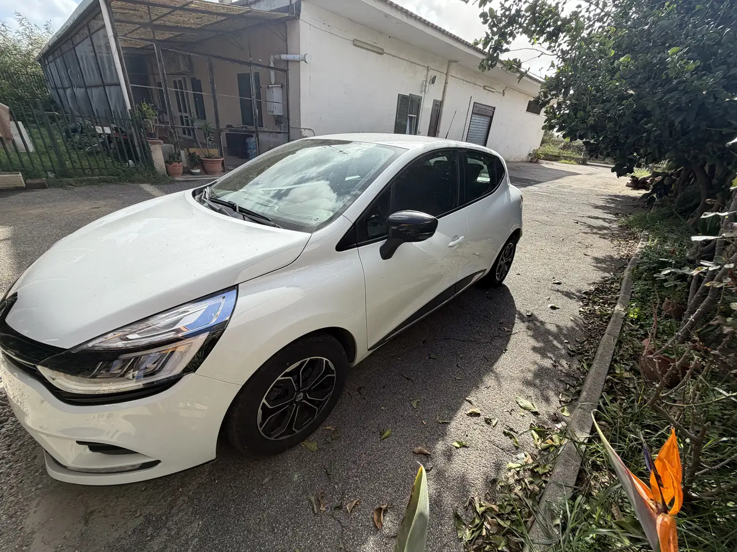 Renault Clio 0.9 tce Moschino Zen 75cv - 2