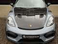 Porsche Boxster 718 Boxster Spyder RS GT4 Weissach NP:195000€ Gris - thumbnail 25