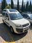 Fiat Doblo 1.9 mjt Malibu 120cv veicolo per trasporto disa - thumbnail 1