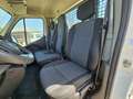 Iveco Daily T35 2.3 dCi 130 TP PM-RG Cabinato Ice CASSONE FISS Blanc - thumbnail 11