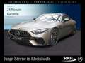 Mercedes-Benz SL 63 AMG AMG SL 63 4M+ Night/Distr/AerodynPak/Perf-Sitze Gris - thumbnail 1