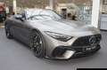 Mercedes-Benz SL 63 AMG AMG SL 63 4M+ Night/Distr/AerodynPak/Perf-Sitze Gris - thumbnail 2