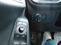 Ford Puma 5P / SUV 1.0 ECOBOOST HYBRID 125CV TITANIUM Grigio - thumbnail 13
