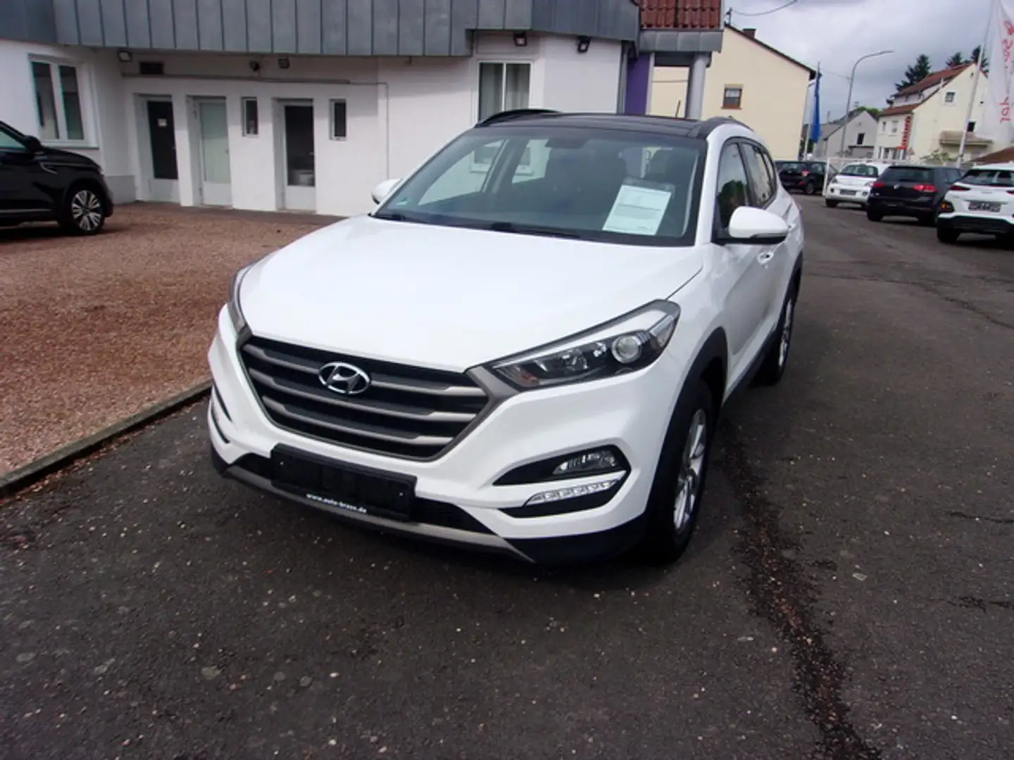 Hyundai TUCSON Tucson Trend blue Pano Klimaaut SHZ ALU Bianco - 2
