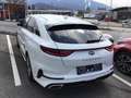 Kia ProCeed / pro_cee'd PROCEED/GT-LINE 1,6 CRDI SCR/H Weiß - thumbnail 2