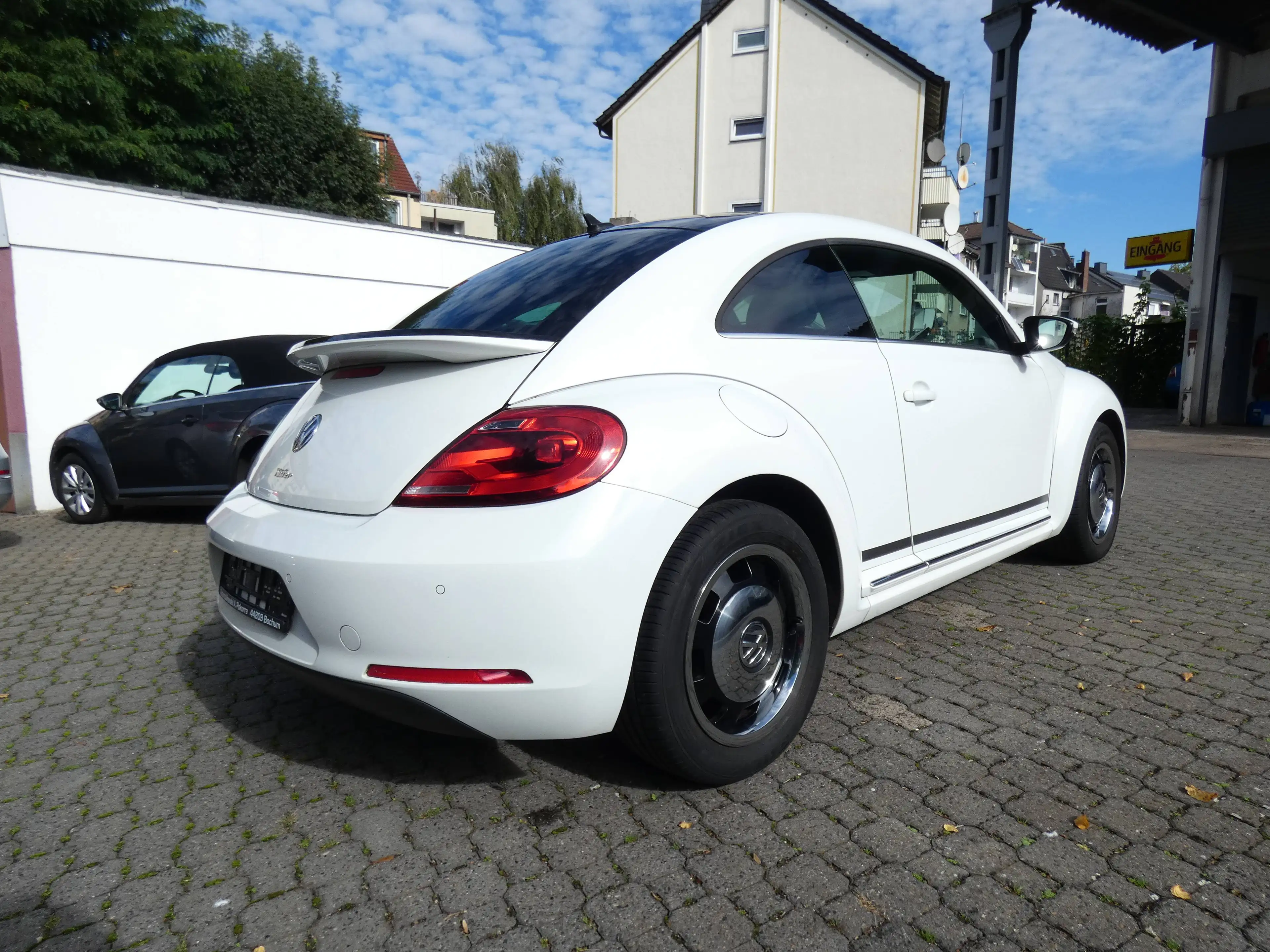 Volkswagen Beetle Cup — photo 4