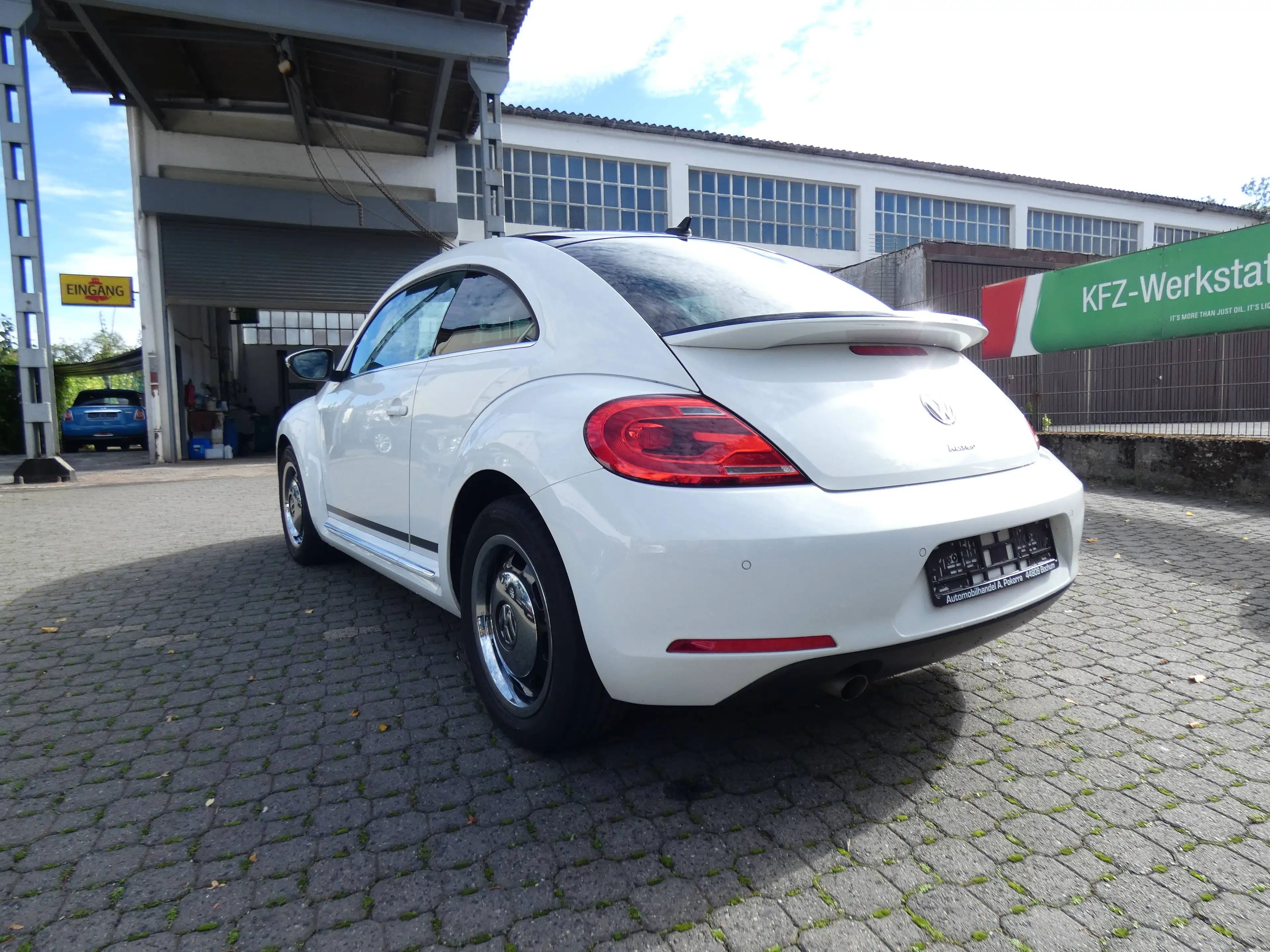 Volkswagen Beetle Cup — photo 6