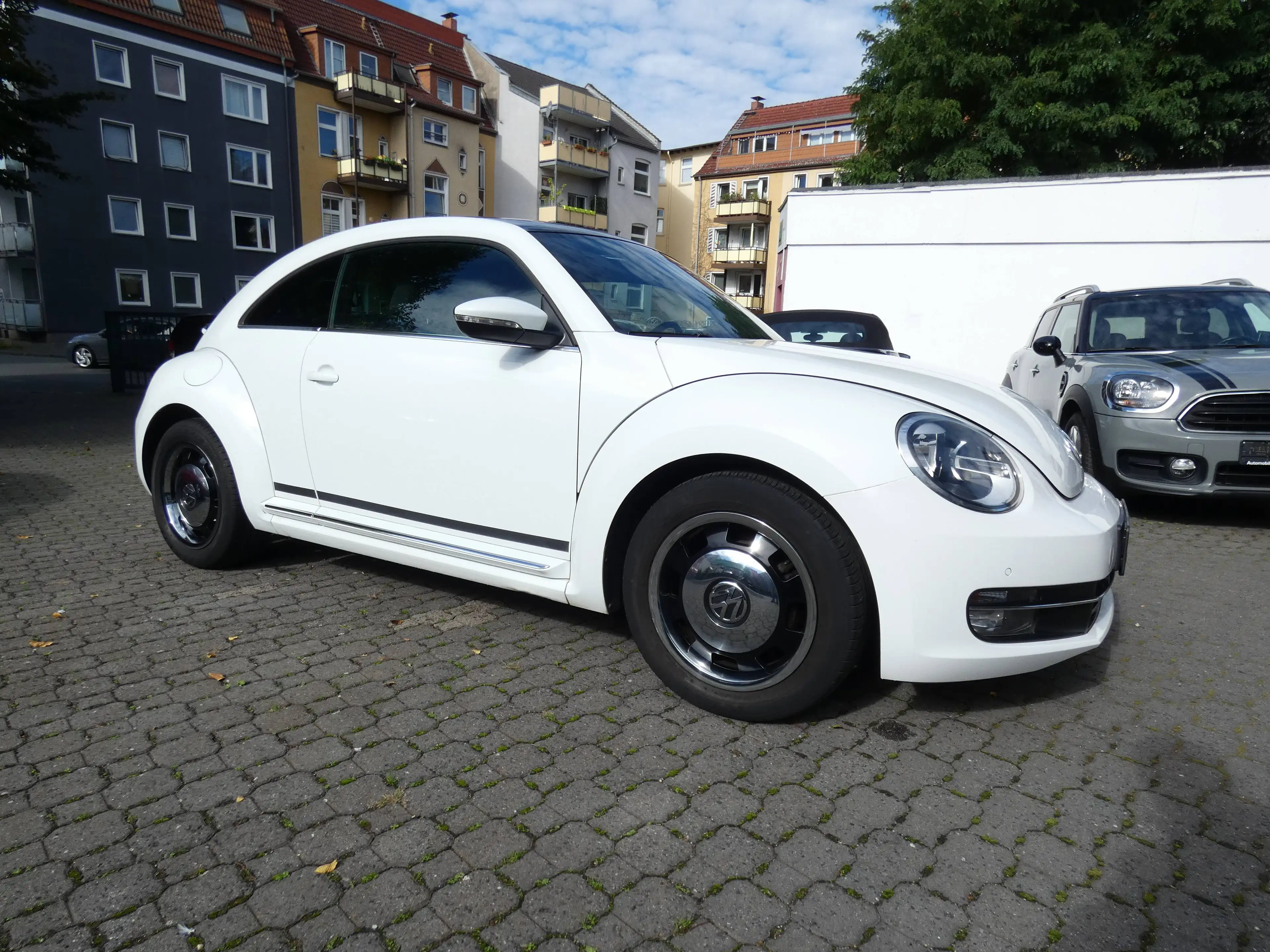 Volkswagen Beetle Cup — photo 3
