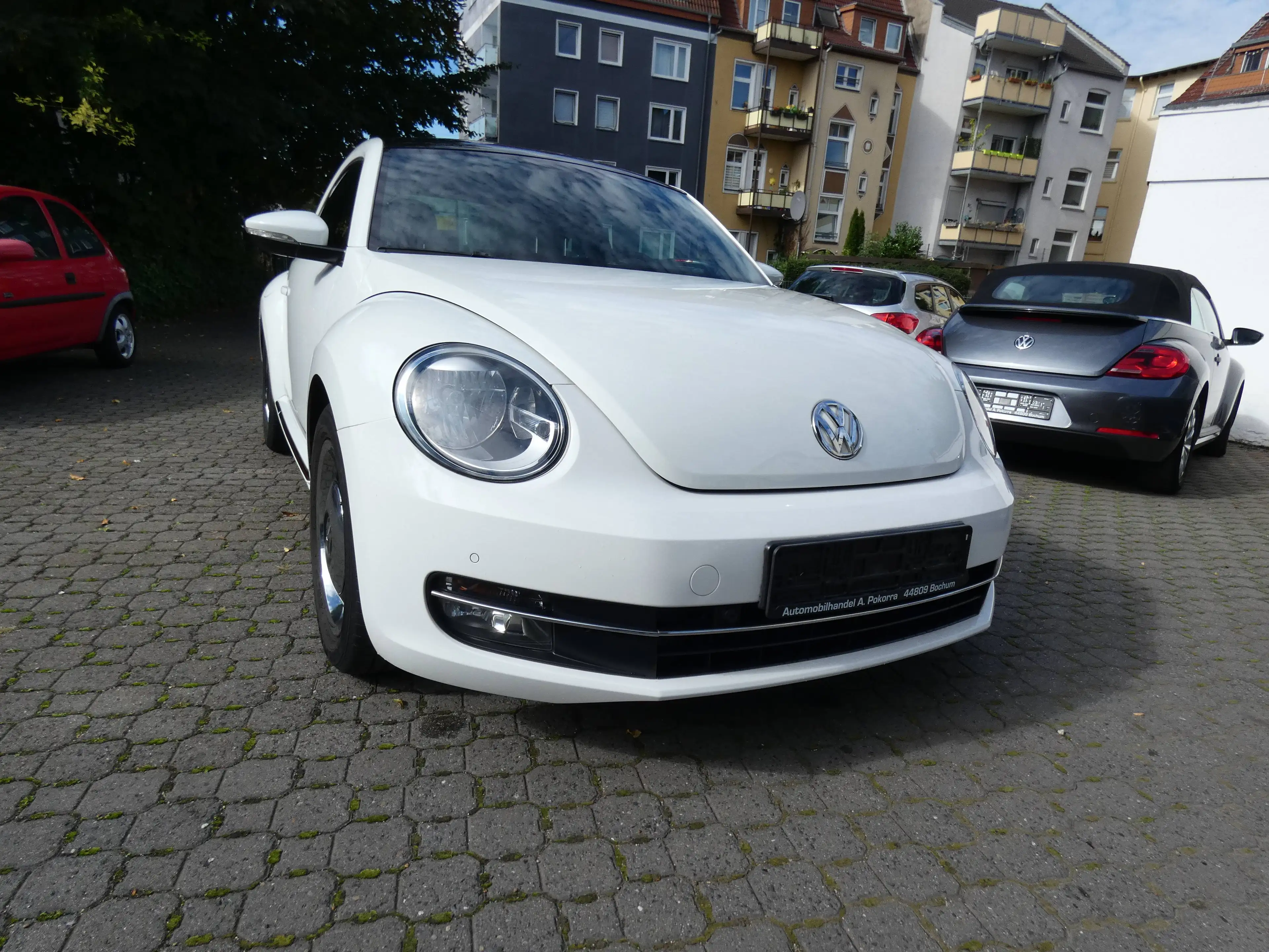 Volkswagen Beetle Cup — photo 2