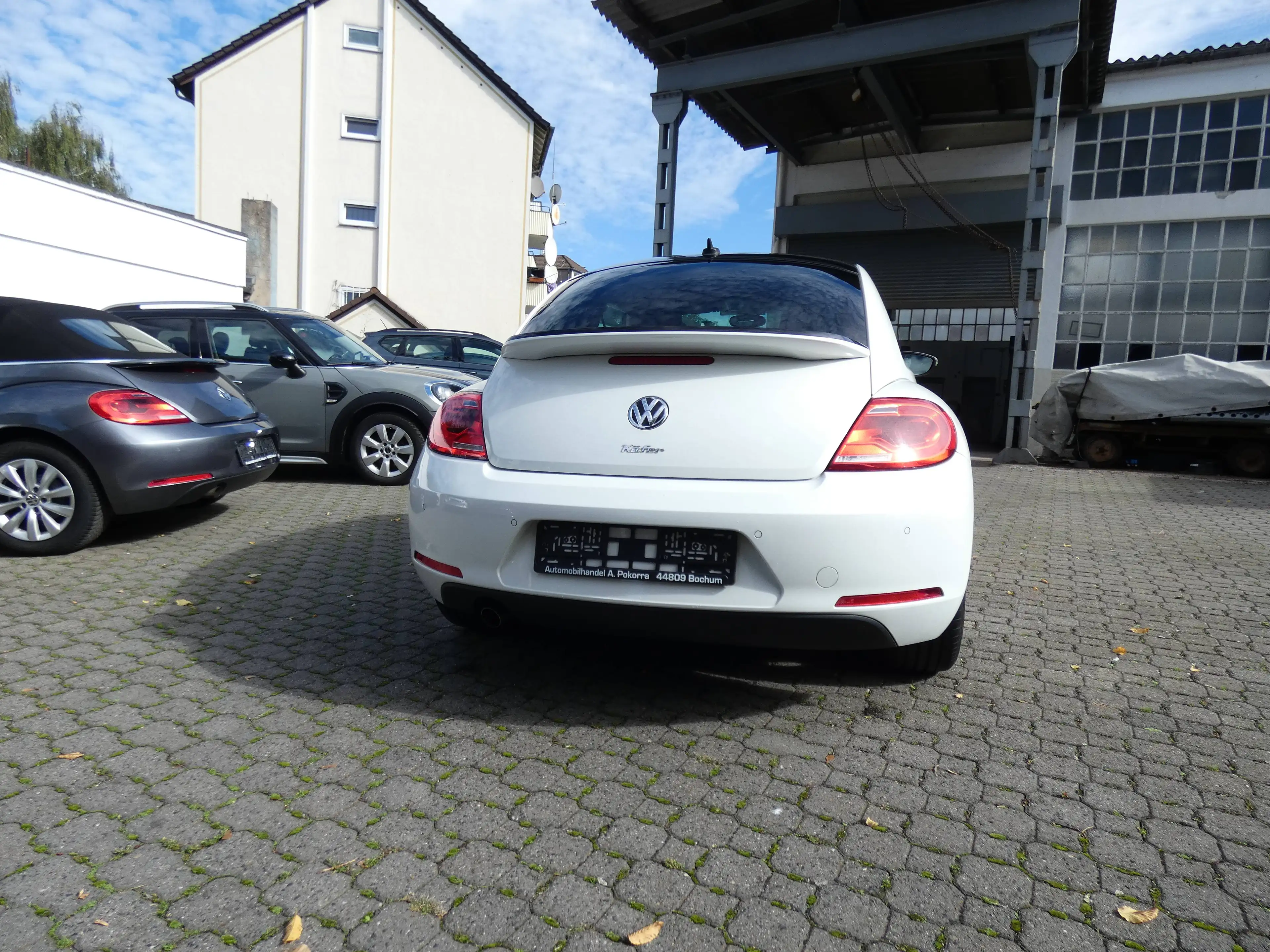 Volkswagen Beetle Cup — photo 5