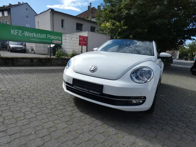 Volkswagen Beetle Cup