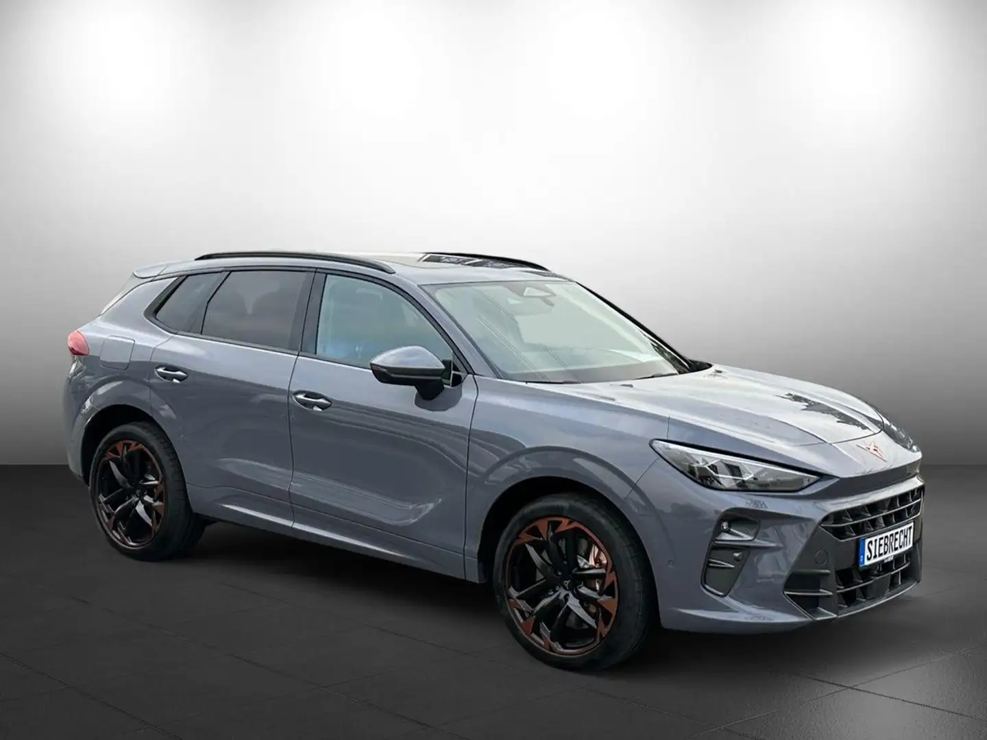 CUPRA Terramar 2.0 TSI 195 kW 4Drive VZ Akabone Bremse Grau - 2