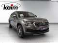 Skoda Kodiaq 2,0 TDI Style DSG Grau - thumbnail 7