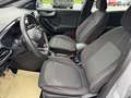 Ford Puma Puma 1.0 Hybrid ST-LINE, Winterpaket, AHZV, LM Grau - thumbnail 14
