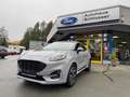 Ford Puma Puma 1.0 Hybrid ST-LINE, Winterpaket, AHZV, LM Grau - thumbnail 3