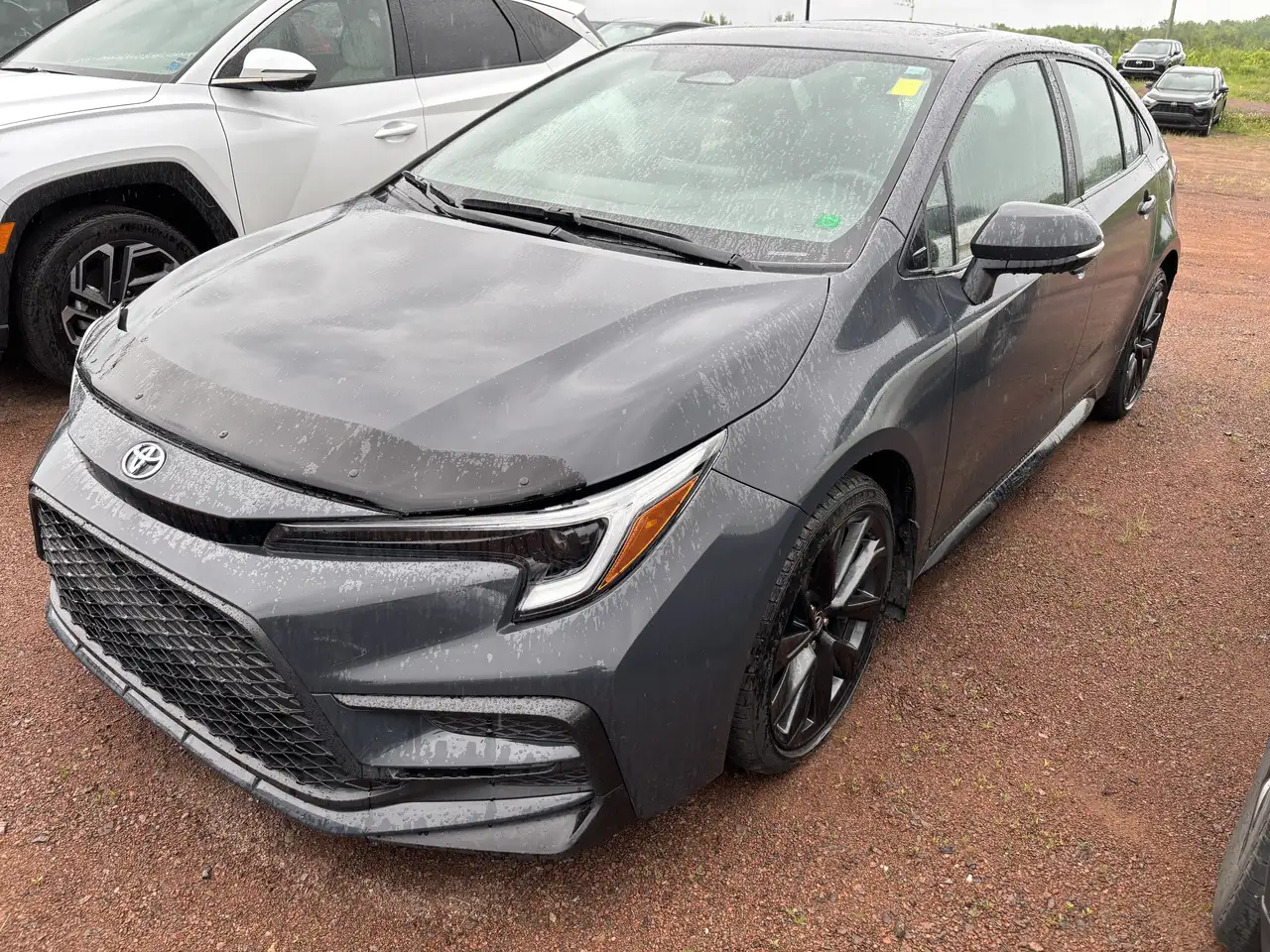 2024 Toyota Corolla
